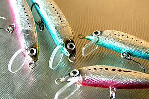 ���q�l��i